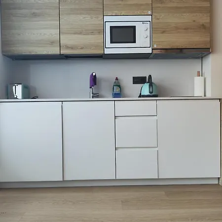 Apartamento Moderno Y Unico Con Parking F30 San Sebastián